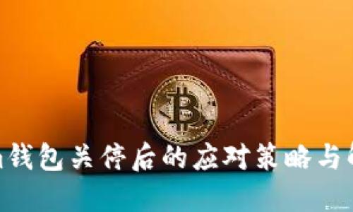 Tokenim钱包关停后的应对策略与解决方案