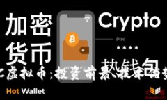 深入了解NVC虚拟币：投资